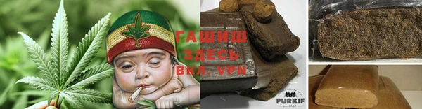 амф Пестово