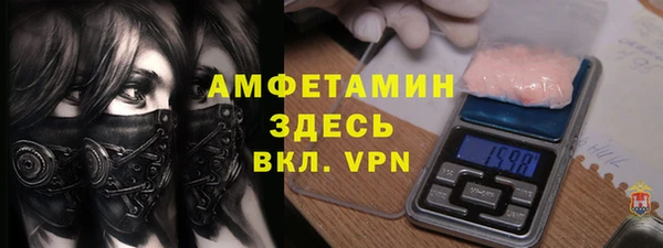 амф Пестово