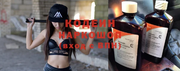 амф Пестово