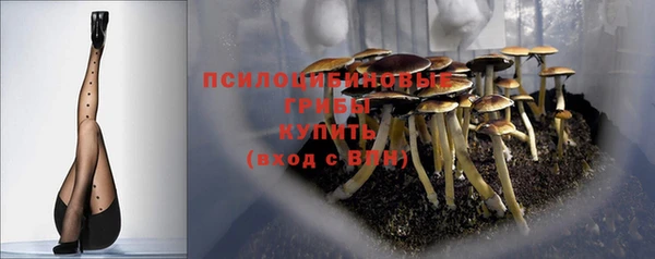 скорость Пересвет