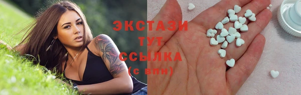 ECSTASY Богородицк