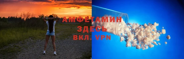 амф Пестово