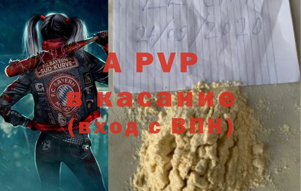 амф Пестово