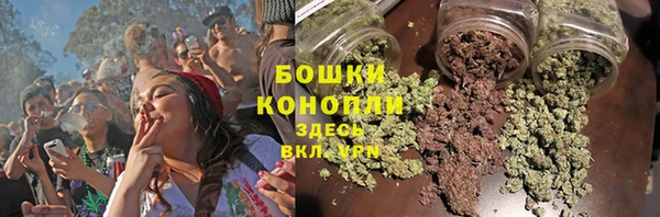 амф Пестово
