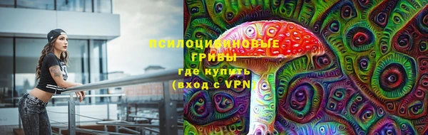 тгк Осинники