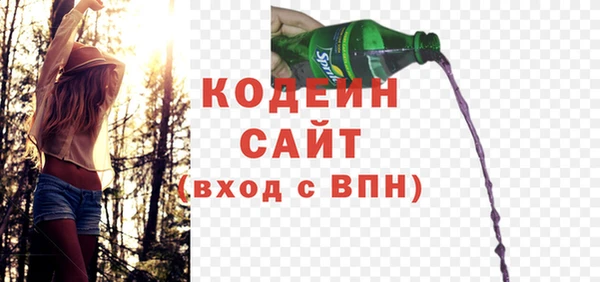 амф Пестово