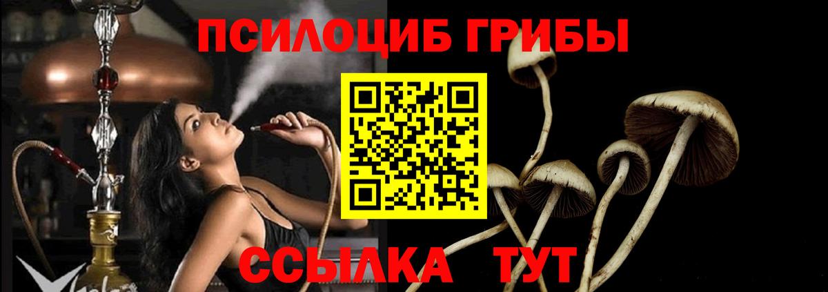 Псилоцибиновые грибы MAGIC MUSHROOMS Волоколамск