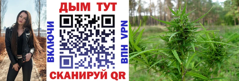 купить закладку  Волоколамск  Каннабис индика 